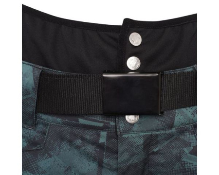 Брюки горнолыжные Dare2b Absolute ll Pant
