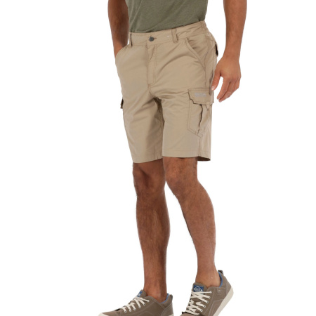 Шорты мужские Regatta Mens Delph Short RMJ160