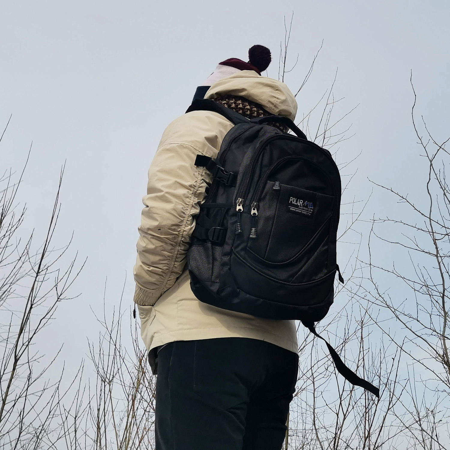 Рюкзак Polar 38239 20 л.