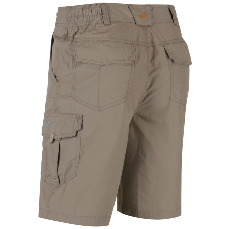 Шорты мужские Regatta Mens Delph Short RMJ160